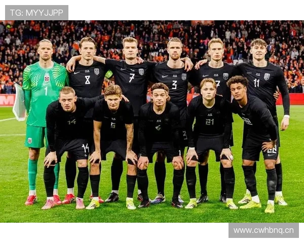 波黑队能否重返2026世界杯?晋级前景与阵容分析 波黑队能否重返2026世界杯?晋级前景与阵容分析